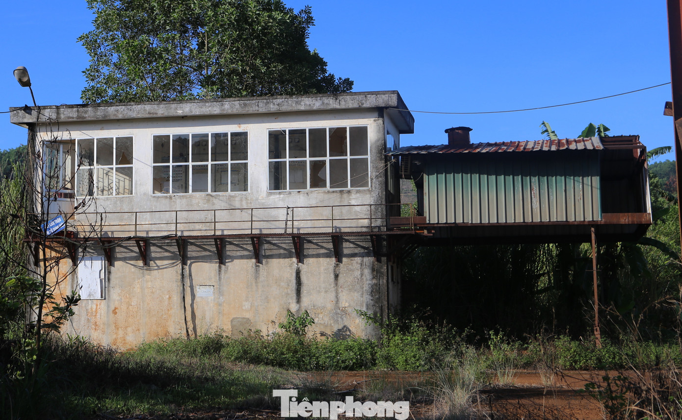 Cỏ dại mọc um tùm bên trong khuôn viên. Trong ảnh là khu vực hệ thống điện của nhà máy.