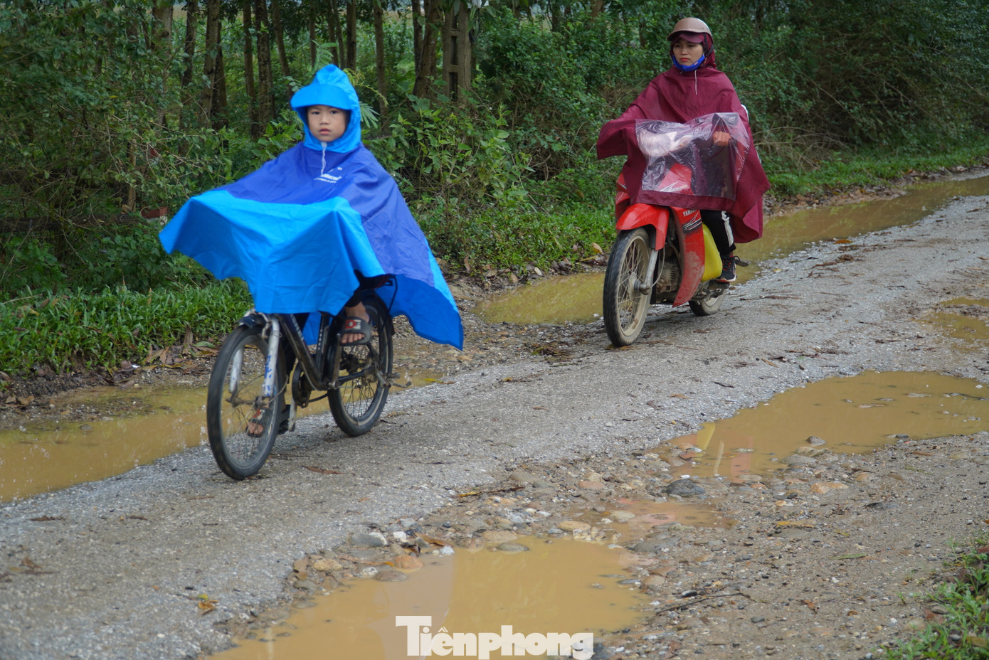 Nhiều năm qua, người dân xã Phú Gia, huyện Hương Khê (Hà Tĩnh) khốn khổ khi tuyến đường huyện lộ 6 bị hư hỏng. Mặt đường nát tươm, nhiều “ổ gà, ổ voi” xuất hiện vì thế mỗi khi mưa xuống nước đọng lại tạo thành những vũng sâu gây nguy hiểm.