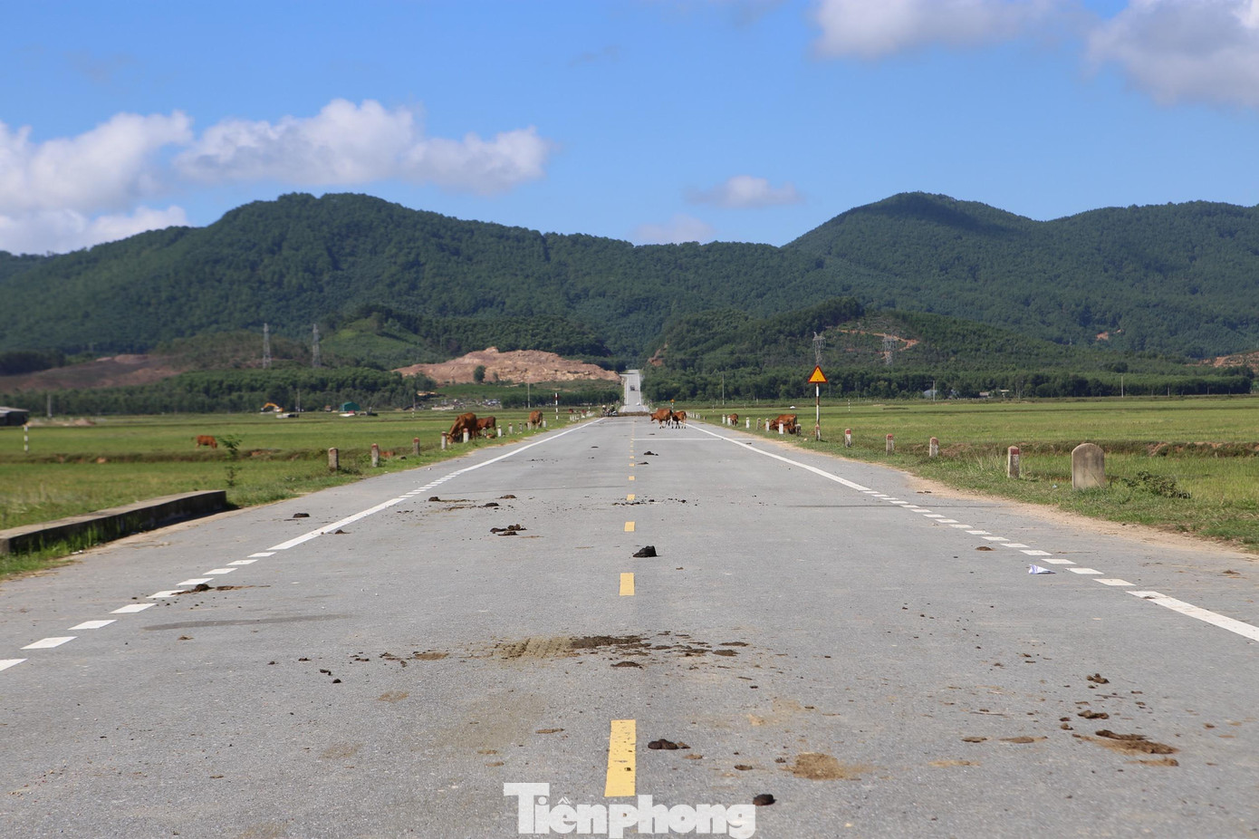 Đường được thiết kế 4 làn, gồm 2 làn dành cho ô tô và 2 làn cho phương tiện thô sơ, rộng 12m.