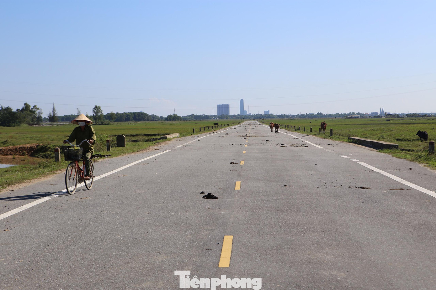 Do tỉnh lộ chưa hoàn thiện nên người tham giao thông khi đi đến đoạn đường cụt phải rẽ vào các lối nhỏ bên bờ ruộng để di chuyển hướng khác. Nhiều năm qua, công trình chủ yếu phục vụ cho người dân trong vùng đi làm đồng. Cả tuyến trở nên nhếch nhác do trâu bò phóng uế bừa bãi.