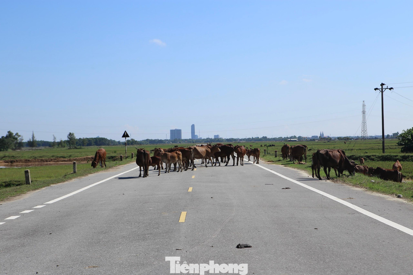 Do dừng triển khai nên đoạn đường này bị cụt hơn 5 năm nay, chưa thể đáp ứng mục tiêu, hiệu quả đặt ra.