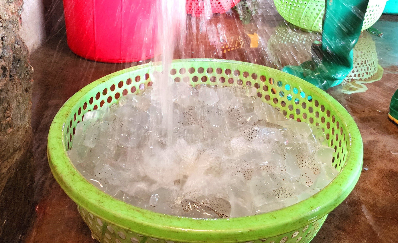 Trước đây, sứa chỉ được ngâm muối để trở thành sứa mặn rồi đem bán ra thị trường. Tuy nhiên, vài năm trở lại đây, nhằm nâng cao giá trị của sứa, các cơ sở sản xuất đã nâng cấp, chế biến sâu thành sứa ăn liền.