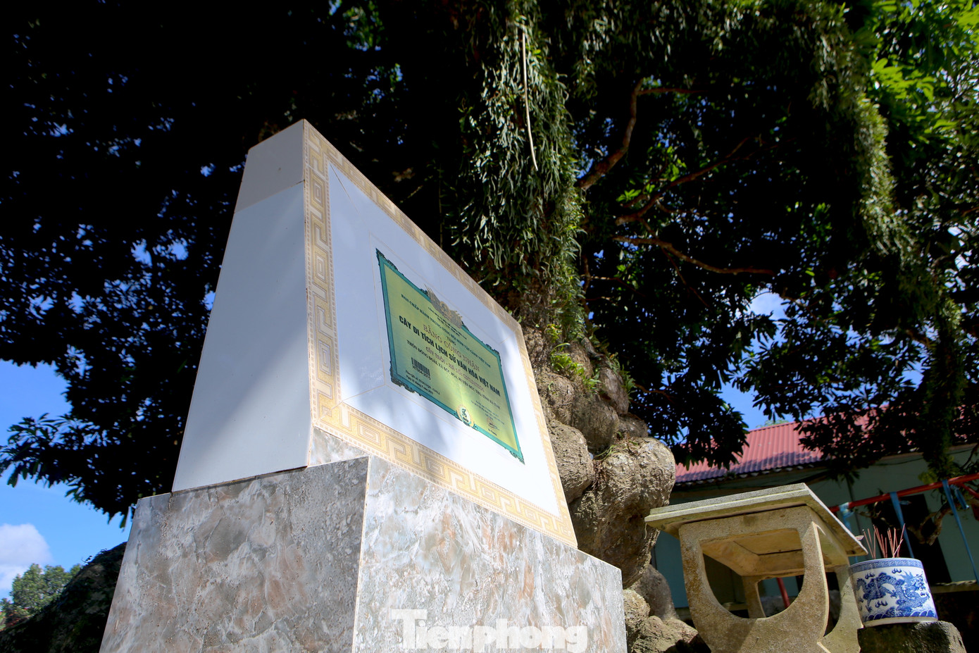 Năm 2015, người dân vui mừng khi đón Bằng công nhận Cây di tích lịch sử văn hóa Việt Nam cho cây trôi trên 400 năm tuổi này. Sau đó người dân góp tiền xây bia tượng trưng tại gốc cây trôi.