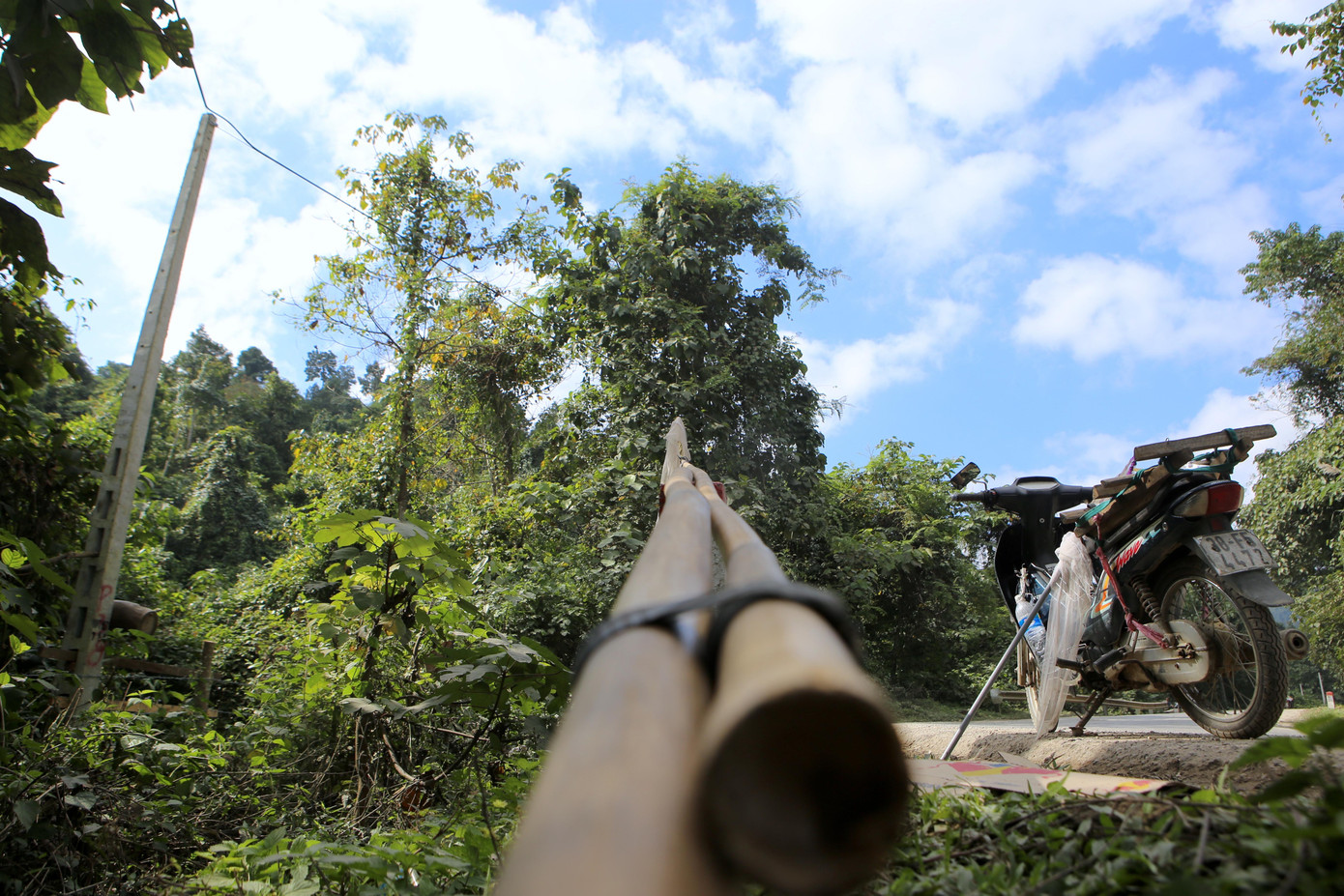 Chiếc sào dùng để gắn vợt vào bắt ong sứ.