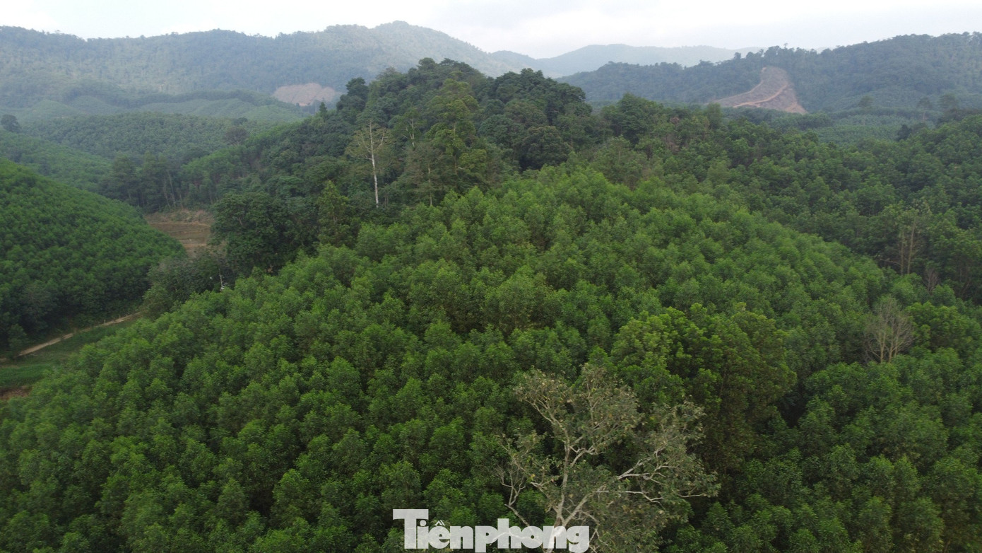 Từ tháng 9 bắt đầu se lạnh, đây là lúc những đàn ong mật sống tự nhiên trong rừng sâu bắt đầu quá trình di cư tìm chỗ trú đông, tránh rét vào mùa đông. Từ tháng 9 bắt đầu se lạnh, đây là lúc những đàn ong mật sống tự nhiên trong rừng sâu bắt đầu quá trình di cư tìm chỗ trú đông, tránh rét vào mùa đông.