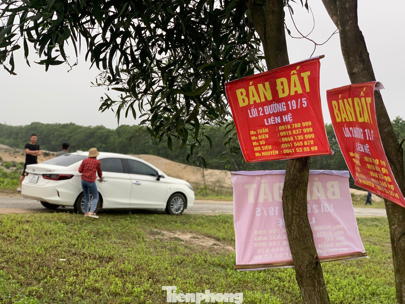 Chi chít biển dán bán đất được treo khắp trên các cây tại tuyến đường 19/5. Với những lô đất trước đây già hàng chục đến vài trăm triệu đồng đã khó bán, thậm chí chẳng ai ngó, nhưng giờ được môi giới đất rao bán với mức giá vài tỷ đồng khiến nhiều người dân bất ngờ.