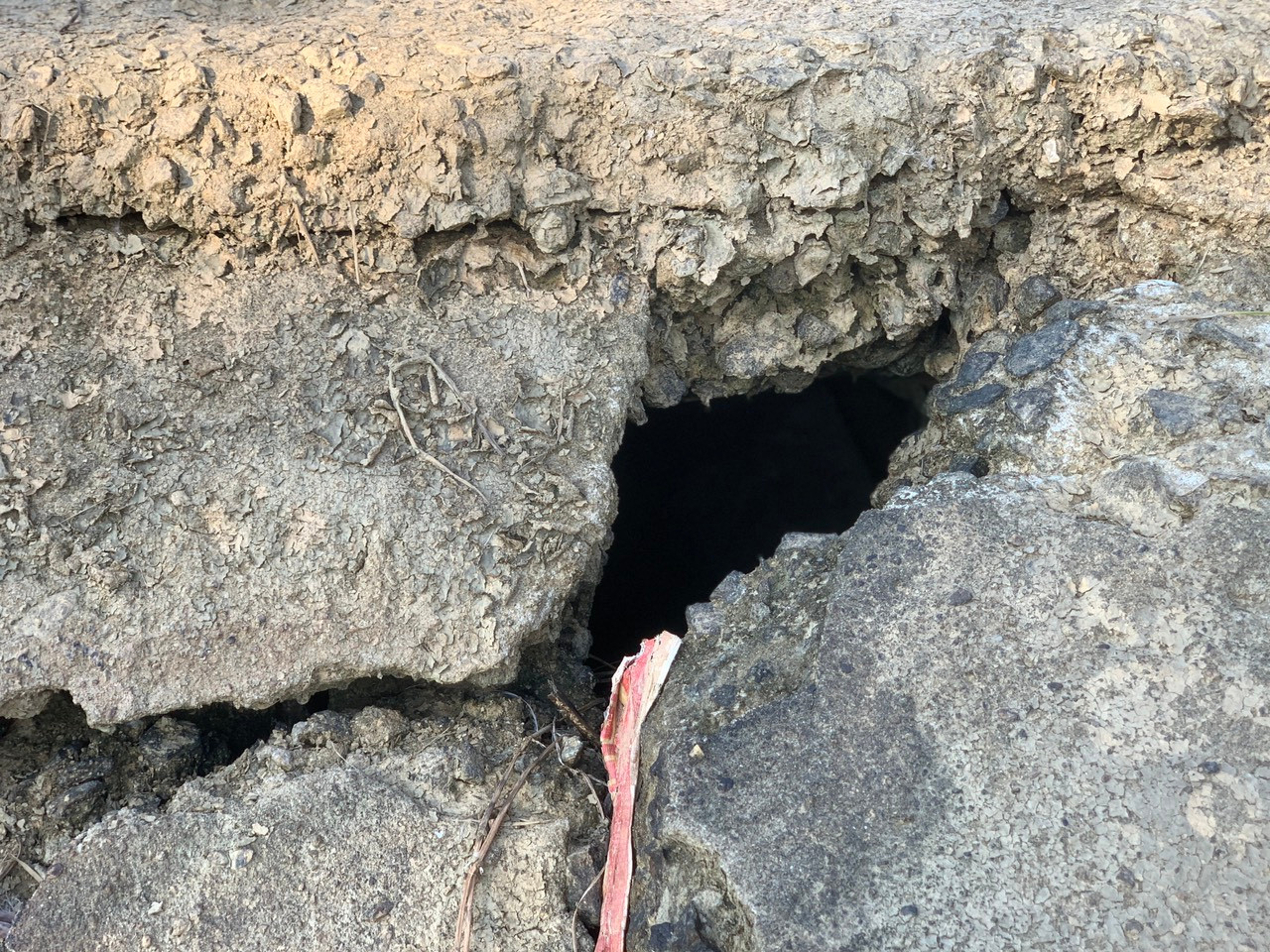 Trong ảnh tại đập Quát (huyện Hương Sơn) hư hỏng, ngành chức năng đóng cọc tre để bảo vệ. Trong ảnh tại đập Quát (huyện Hương Sơn) hư hỏng, ngành chức năng đóng cọc tre để bảo vệ.