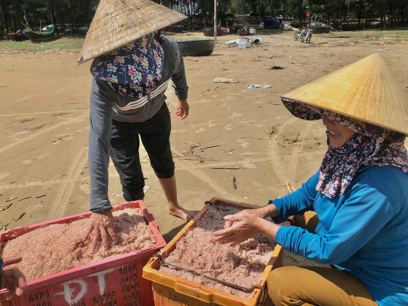 Ruốc được ngư dân bán với giá từ 15.000 - 20.000 đồng/kg. Ruốc sau khi thu mua sẽ về chế biến làm mắm ruốc hoặc phơi khô làm tép biển.