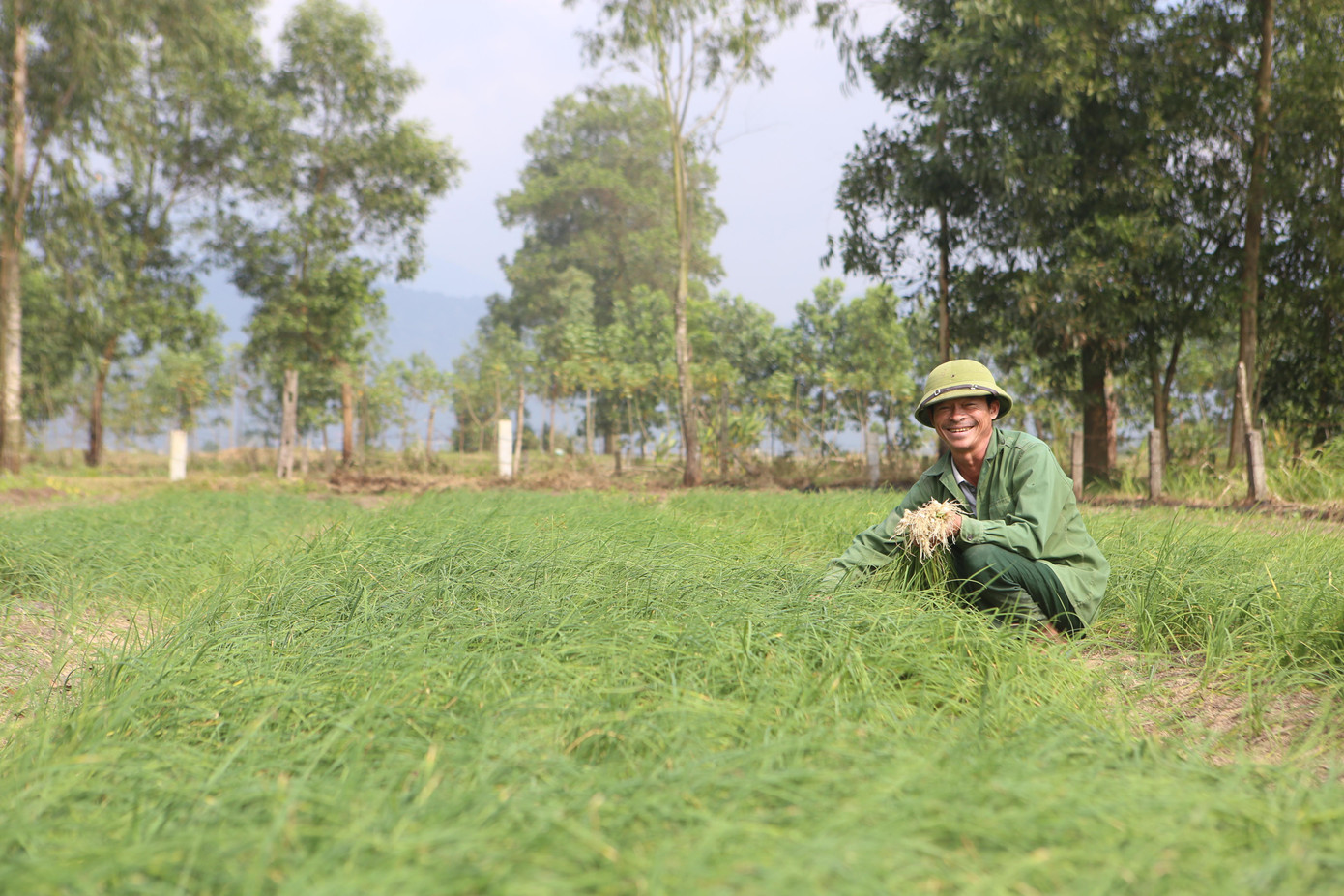 Ngày thường giá hành khoảng từ 40-70 nghìn đồng/kg, nhưng vào dịp cận Tết có thể lên tới 90 nghìn đồng/kg.
