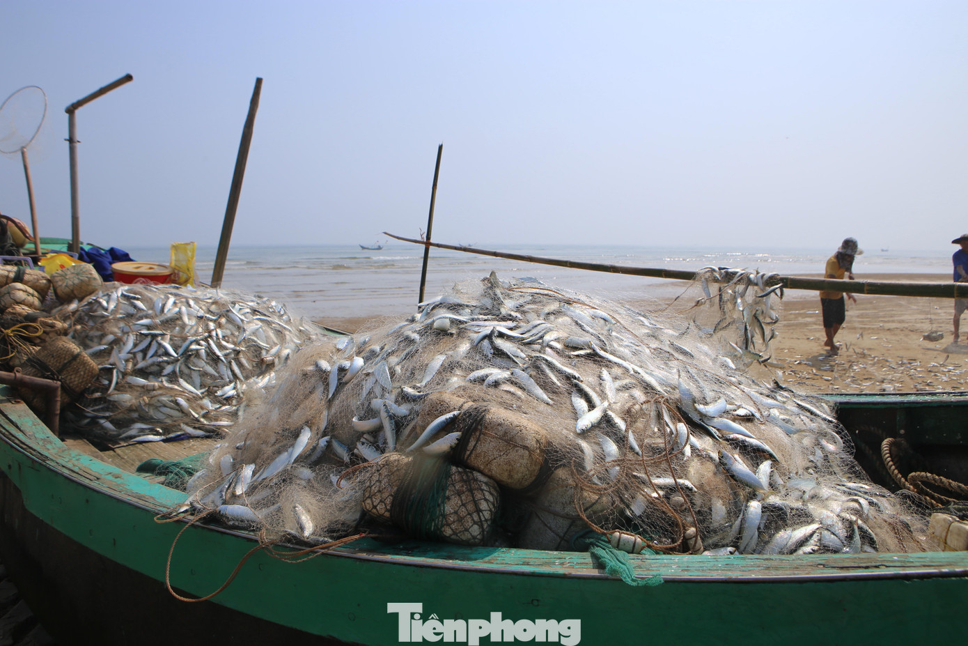 Những chiếc thuyền đựng lưới dài hàng trăm mét đầy ắp cá trích. Trong ảnh thuyền ngư dân Lê Khắc Phùng (trú thôn Đông Văn, xã Thạch Văn) đánh bắt được hơn 1 tấn cá trích. Những chiếc thuyền đựng lưới dài hàng trăm mét đầy ắp cá trích. Trong ảnh thuyền ngư dân Lê Khắc Phùng (trú thôn Đông Văn, xã Thạch Văn) đánh bắt được hơn 1 tấn cá trích.