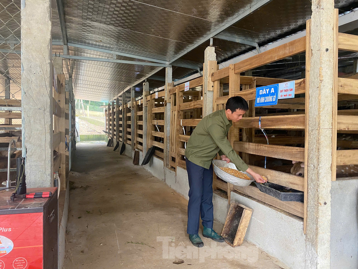 Trang trại chăn nuôi của anh Nguyễn Hồng Tiệp.