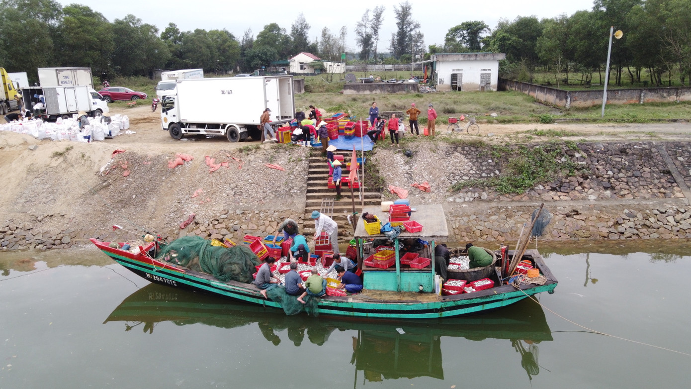 Trong 5 ngày liên tiếp, thuyền của ngư dân Tiến trúng đậm hơn 10 tấn cá đù. Trong 5 ngày liên tiếp, thuyền của ngư dân Tiến trúng đậm hơn 10 tấn cá đù.