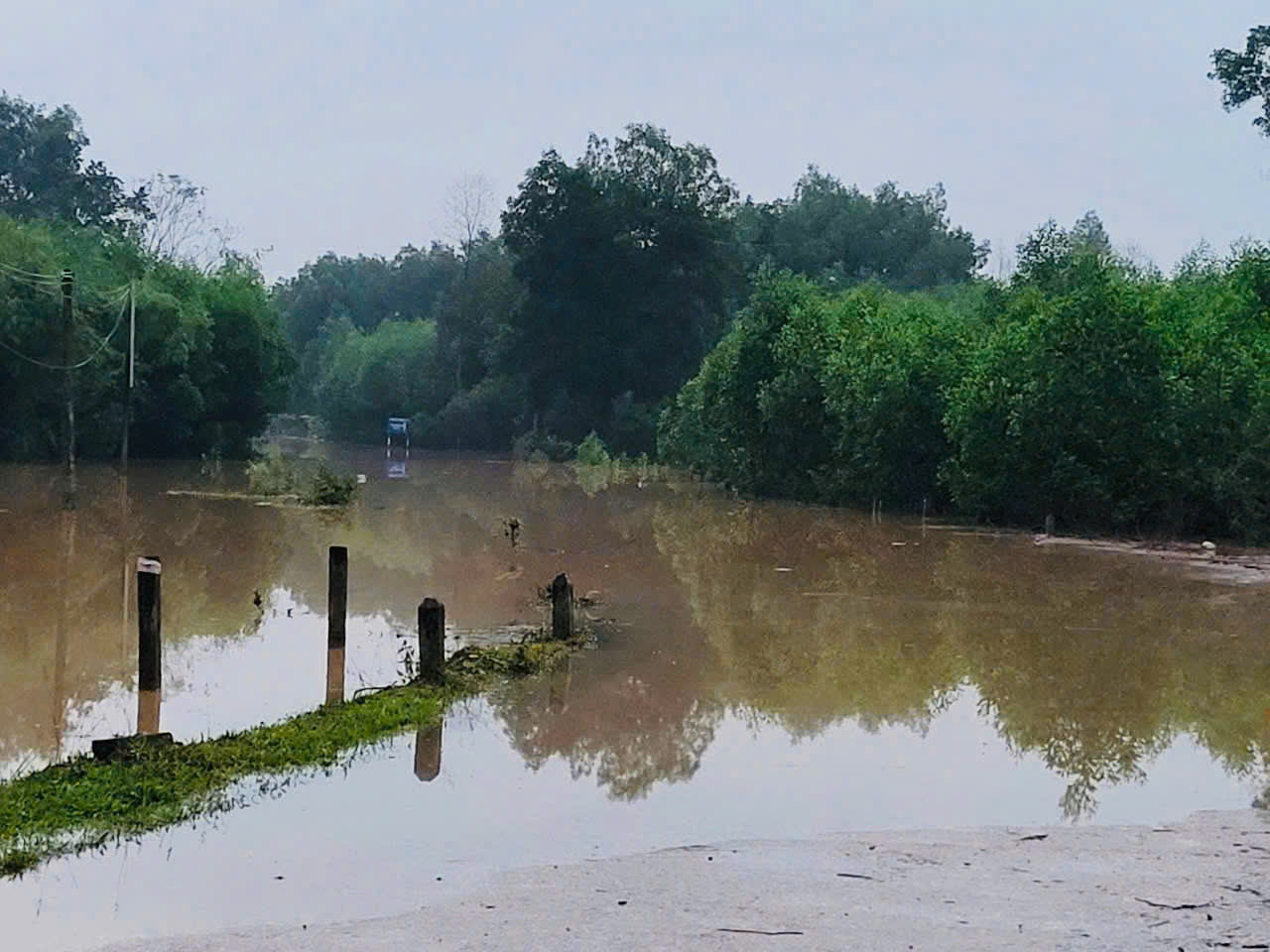 Đường tại xã Hương Thuỷ bị ngập, chia cắt cục bộ. Đường tại xã Hương Thuỷ bị ngập, chia cắt cục bộ.