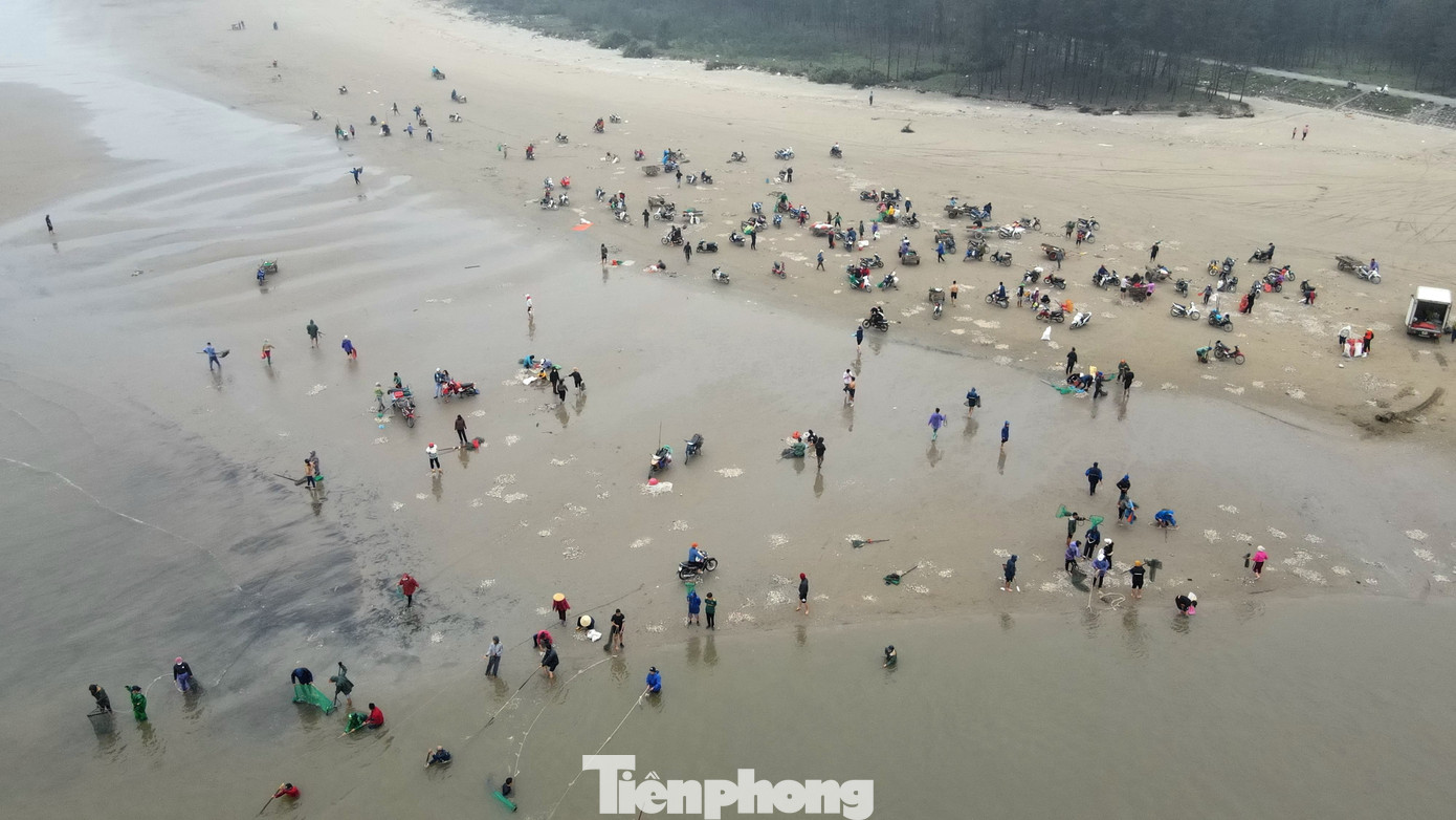 Vì sóng biển lớn, để tránh mất sức, họ phân công người kéo dây, người cầm đầu vợt đứng thẳng di chuyển theo bờ để cào sò.