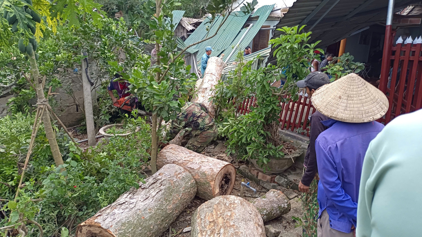 Cây cổ thụ ngã đổ sau trận lốc xoáy.