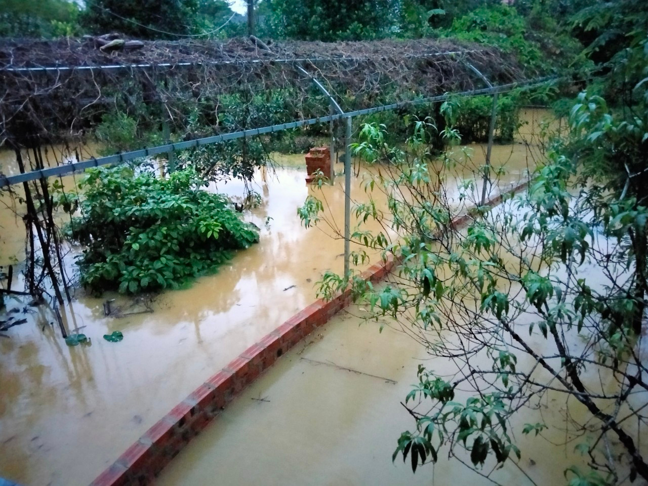 Có nhiều hộ tại xã Lộc Yên nước ngập vào khoảng 1m.