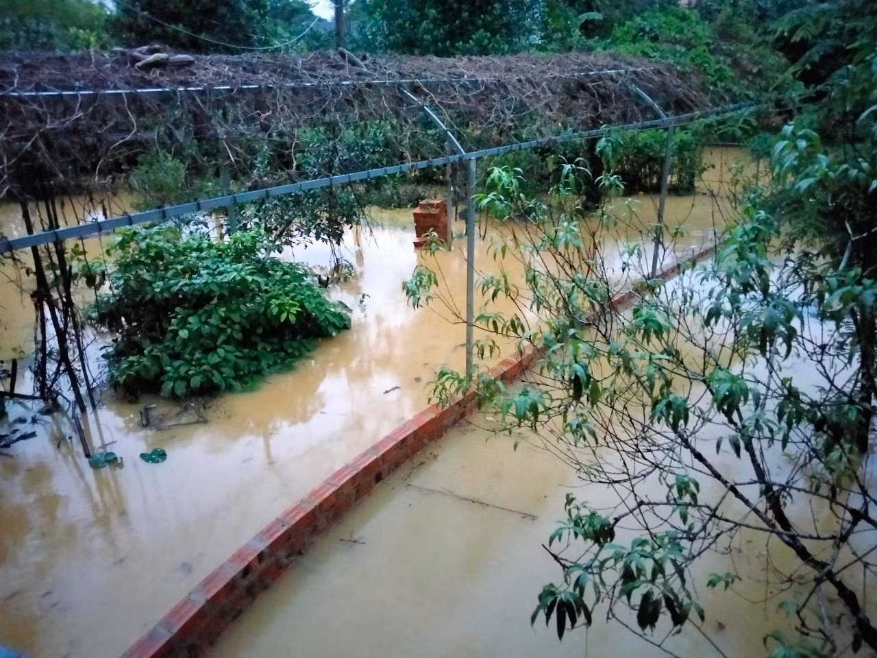 Có nhiều hộ tại xã Lộc Yên nước ngập vào khoảng 1m.