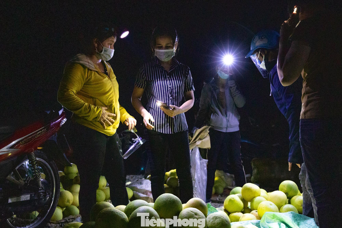 Mỗi người đều chuẩn bị đèn pin để kiểm tra, phân loại và phân giá bưởi. Bưởi thuộc cây già, lâu năm sẽ mua với giá cao hơn vì quả mọng nước, ngọt thanh.