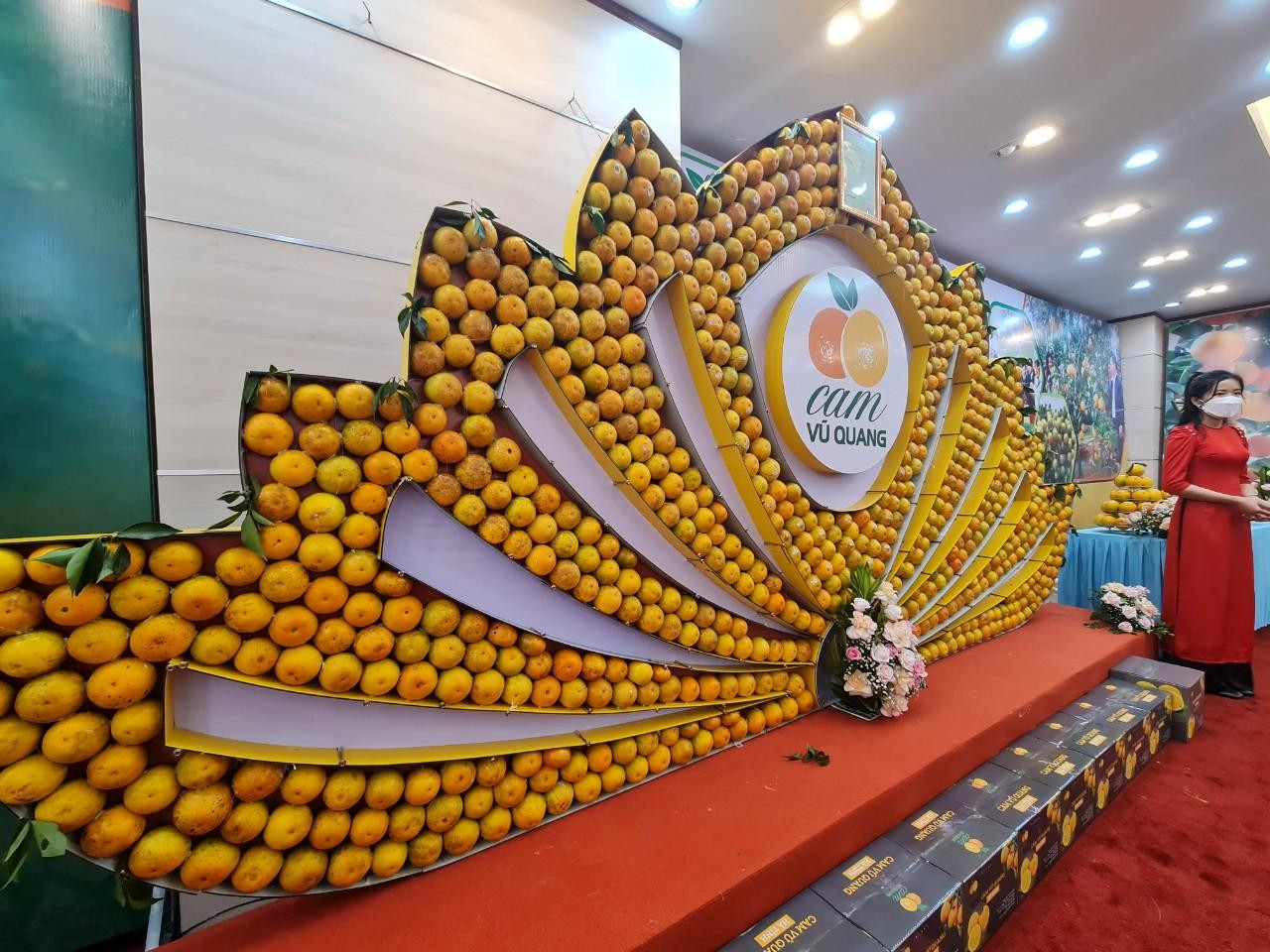 Cam Vũ Quang được trang trí đẹp mắt.