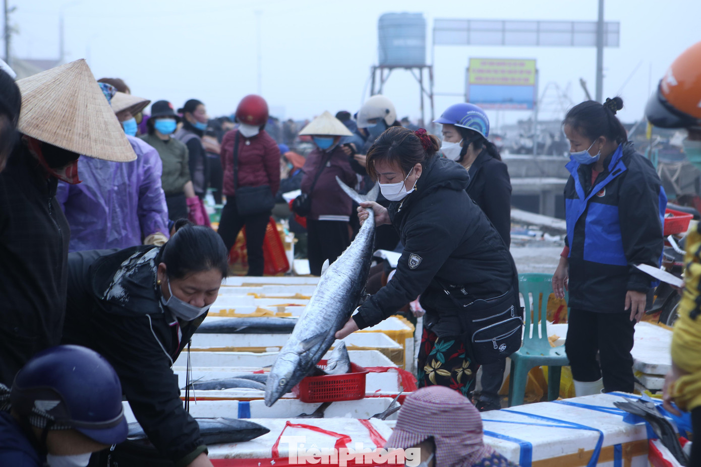 Thuyền ngư dân sau khi cập cá sẽ đưa cá tôm lên bờ bán cho các thương lái thu mua ngay tại bờ.