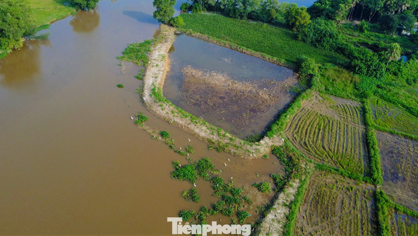 Đến nay, gần 25.000 cây xanh đã được phường Thạch Linh trồng ở khu vực xây dựng vườn chim và các vùng lân cận.