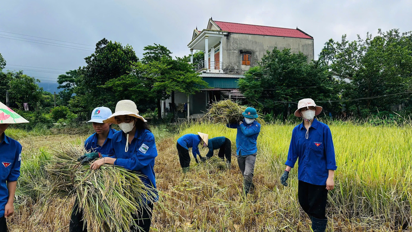Không quản nắng nóng, bùn đất hay những thửa ruộng trũng sâu, tuổi trẻ Hà Tĩnh đã để lại những hình ảnh đẹp.