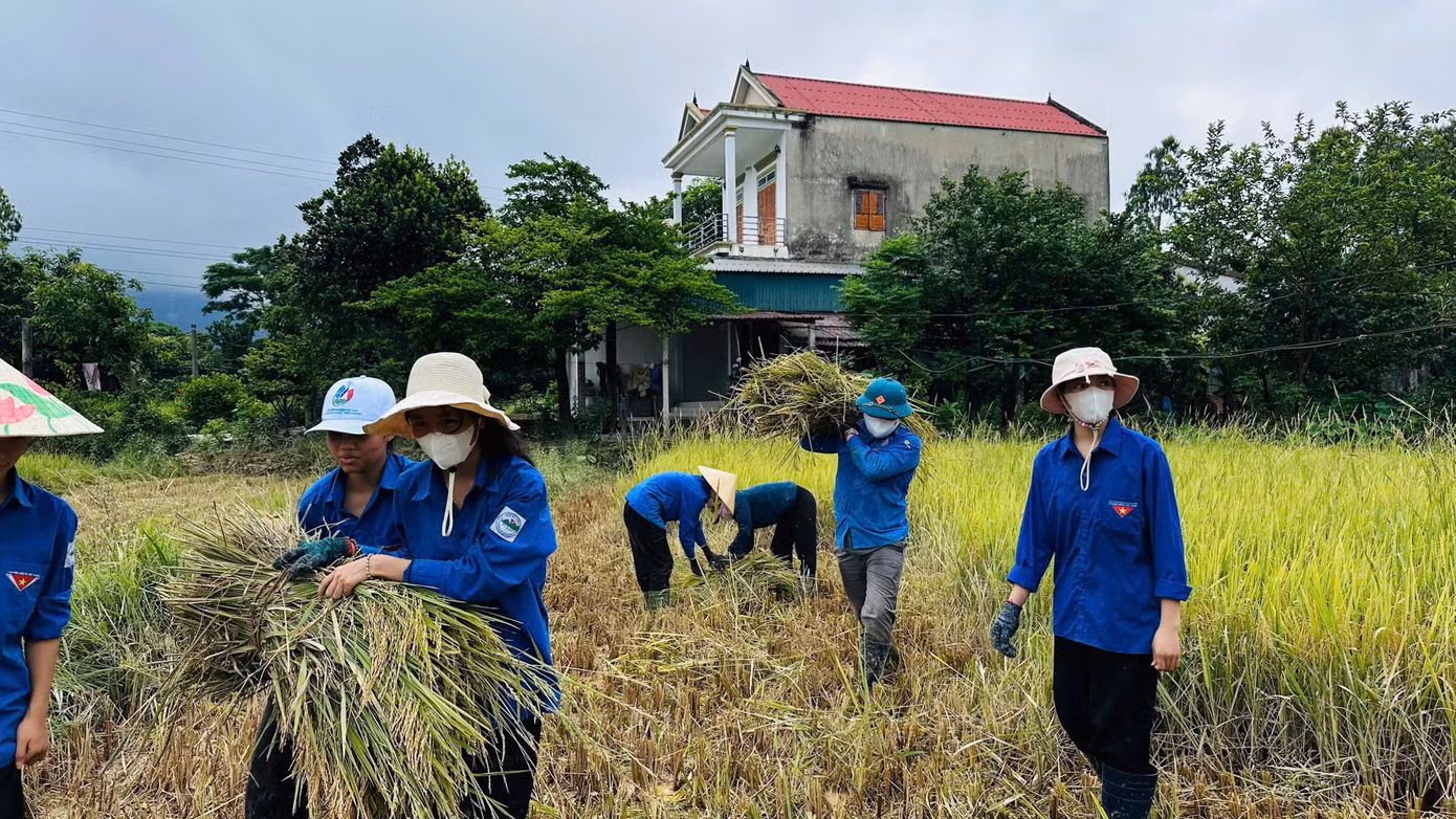 Không quản nắng nóng, bùn đất hay những thửa ruộng trũng sâu, tuổi trẻ Hà Tĩnh đã để lại những hình ảnh đẹp. Không quản nắng nóng, bùn đất hay những thửa ruộng trũng sâu, tuổi trẻ Hà Tĩnh đã để lại những hình ảnh đẹp.
