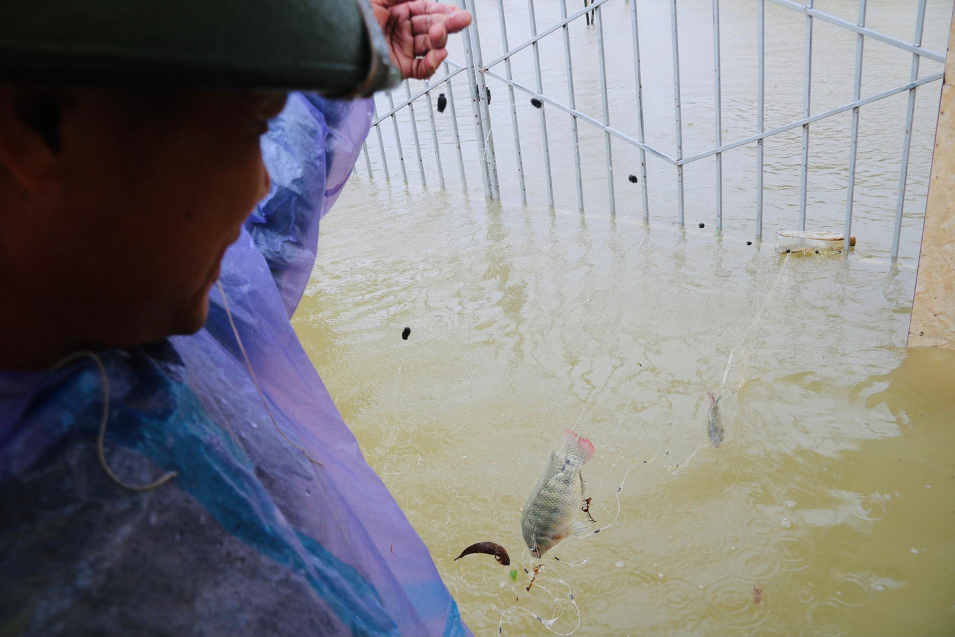 Ông Nguyễn Huy Trí, Chủ tịch UBND xã Cẩm Thành (huyện Cẩm Xuyên) cho biết, để ứng phó với mưa lũ, chính quyền đã rà soát những hộ dân nằm trong vùng có nguy cơ ngập lụt cao. Dự kiến chiều nay, xã sẽ đưa 52 hộ dân nằm trong khu vực ngập lụt lên những nơi cao hơn. Ông Nguyễn Huy Trí, Chủ tịch UBND xã Cẩm Thành (huyện Cẩm Xuyên) cho biết, để ứng phó với mưa lũ, chính quyền đã rà soát những hộ dân nằm trong vùng có nguy cơ ngập lụt cao. Dự kiến chiều nay, xã sẽ đưa 52 hộ dân nằm trong khu vực ngập lụt lên những nơi cao hơn.