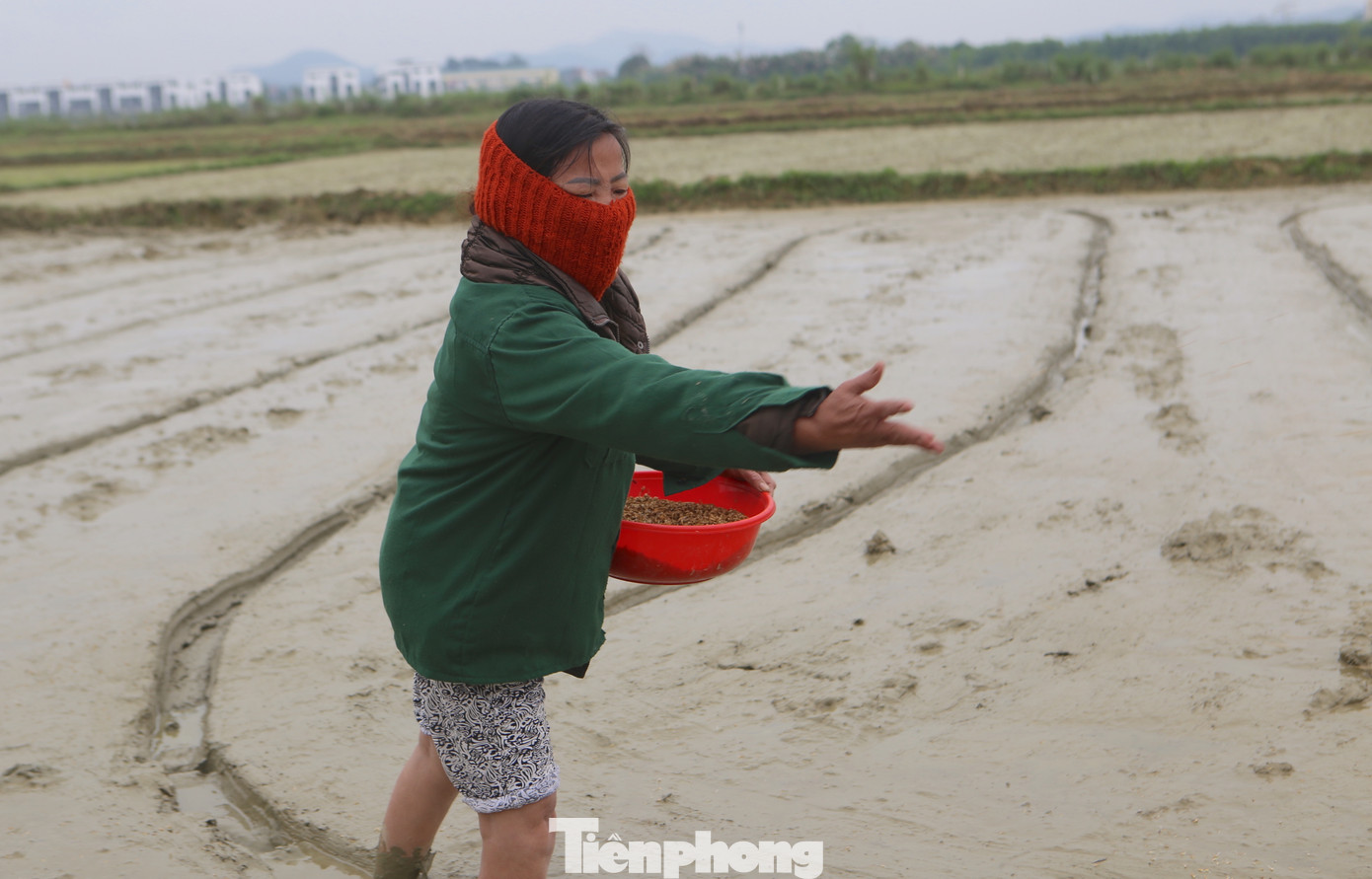 Người dân gần như bịt kín mặt nhưng chân vẫn ướt nhẹp vì phải lội dưới bùn; đôi tay đỏ ửng vì phải tiếp xúc với nước lạnh... Người dân gần như bịt kín mặt nhưng chân vẫn ướt nhẹp vì phải lội dưới bùn; đôi tay đỏ ửng vì phải tiếp xúc với nước lạnh...