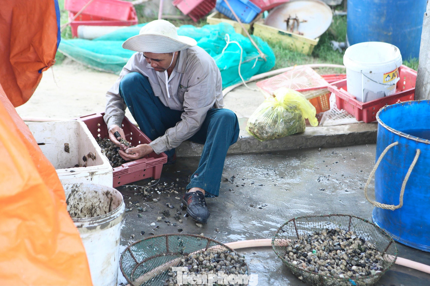 Đặc biệt, người dân cho biết ốc hương chủ yếu thị trường tiêu thụ xuất khẩu sang Trung Quốc, do dịch cửa khẩu thắt chặt nên không vận chuyển được. Còn đối với thị trường trong nước thì có một số địa phương như Sài Gòn, Bình Dương, Đà Nẵng do dịch nên việc vận chuyển cũng gặp khó khăn, vì thế ảnh hưởng đến việc tiêu thụ, bị thương lái ép bán với giá thấp.