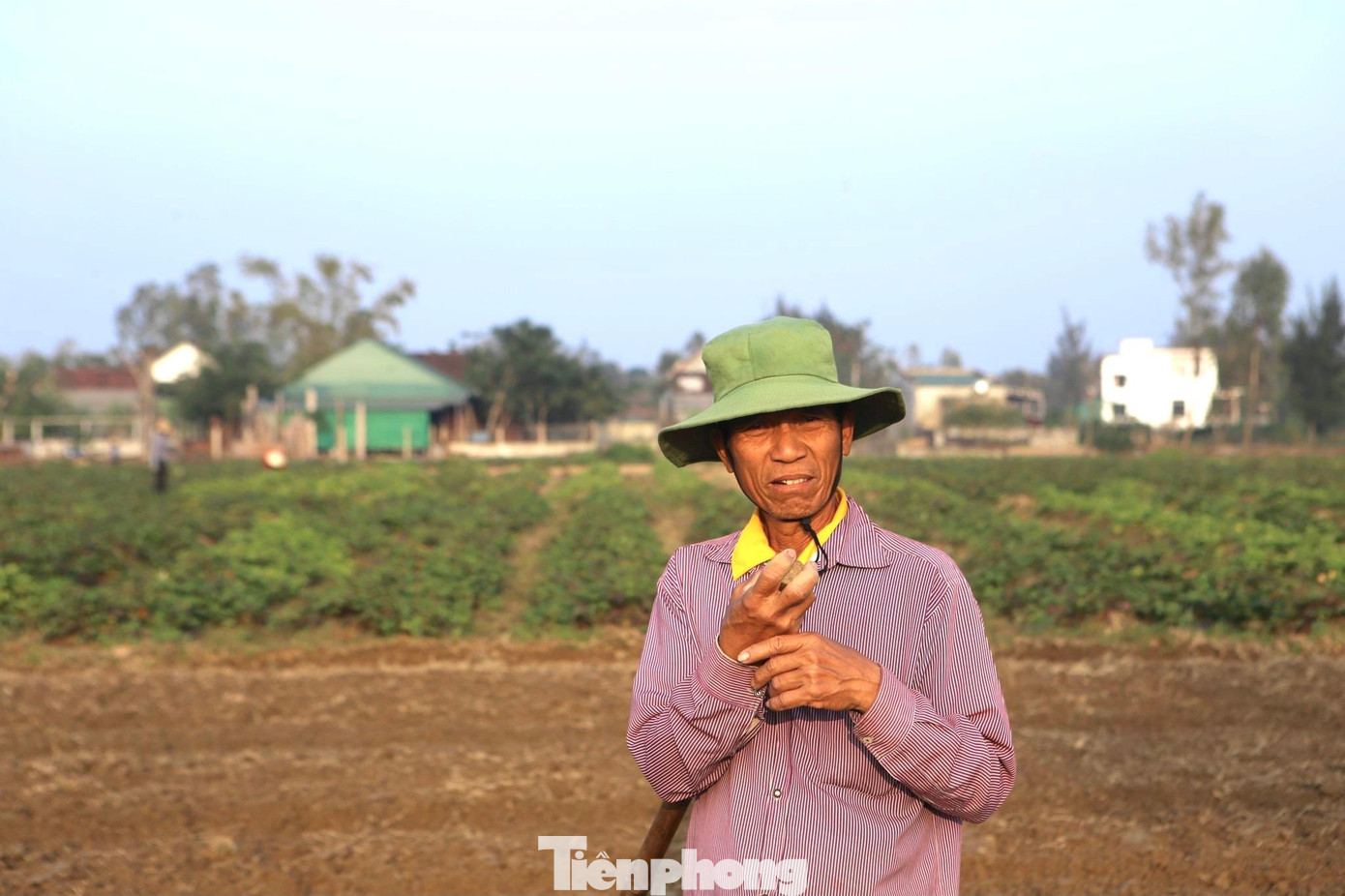 “Mùa này thu nhập từ khoai đạt khoảng 10-15 triệu đồng. Hiện tại đã thu hoạch bán được hơn 1 sào. Trước đây có thương lái từ phía Bắc về thu mua cả tấn, nhưng đợt này vào ít nên bán ngoài chợ. Thu hoạch đến đâu bán đến đó nên dân rất phấn khởi”, ông Vọng chia sẻ.