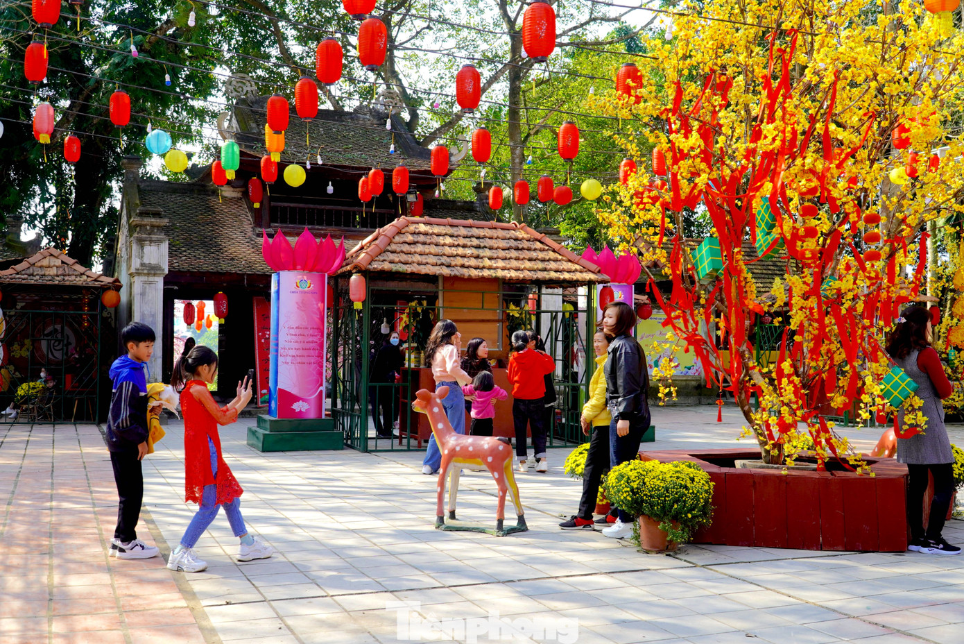 Nhiều gia đình tận dụng ngày nghỉ Tết đưa con đến chùa để tham quan, chụp ảnh cũng như cầu mong may mắn, bình an trong năm mới.