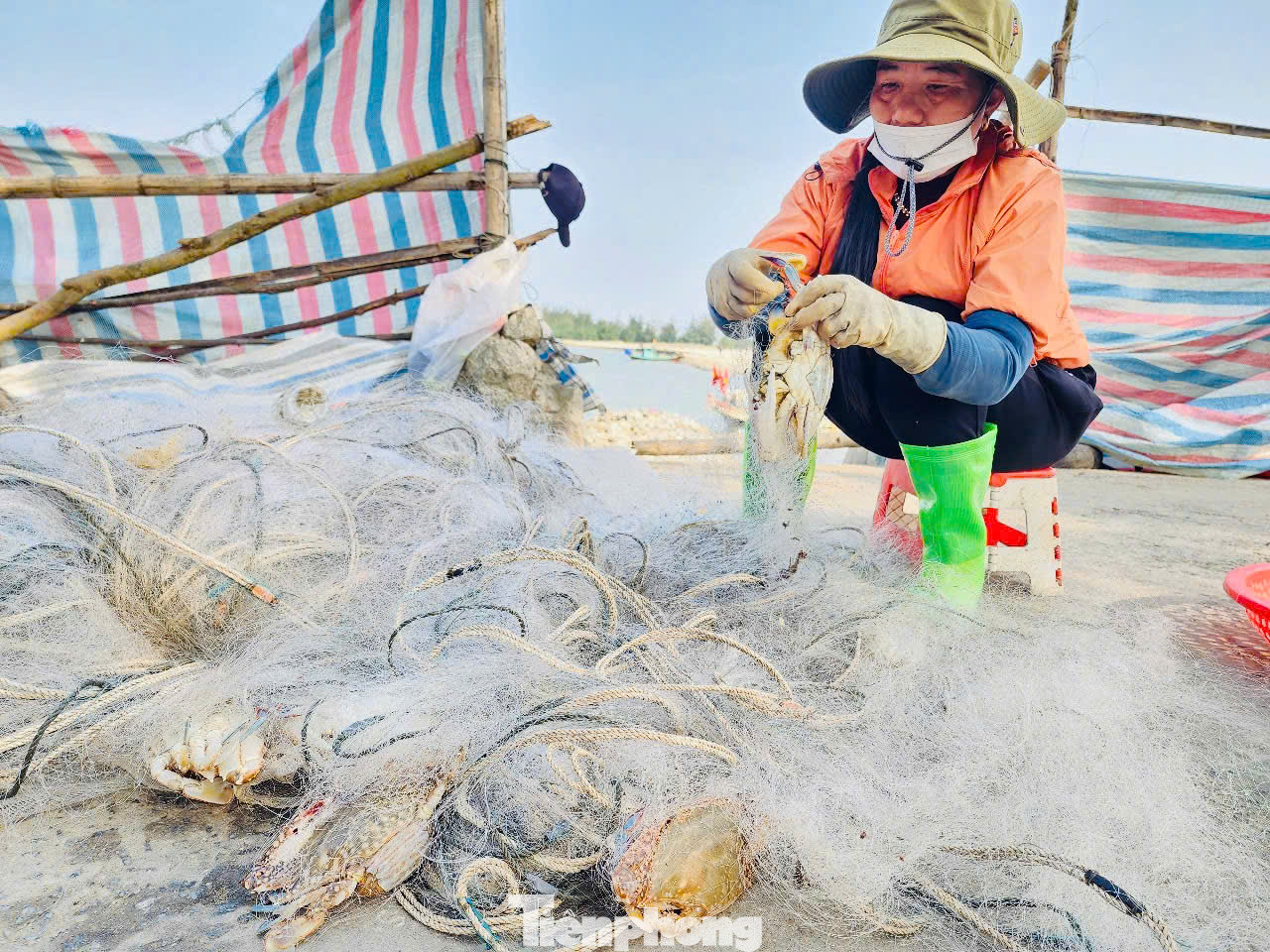 Không khí hối hả, náo nhiệt tại bờ đê khi có nhiều thương lái, người dân trong và ngoài địa phương đến chen chân, trả giá mua cá và ghẹ.