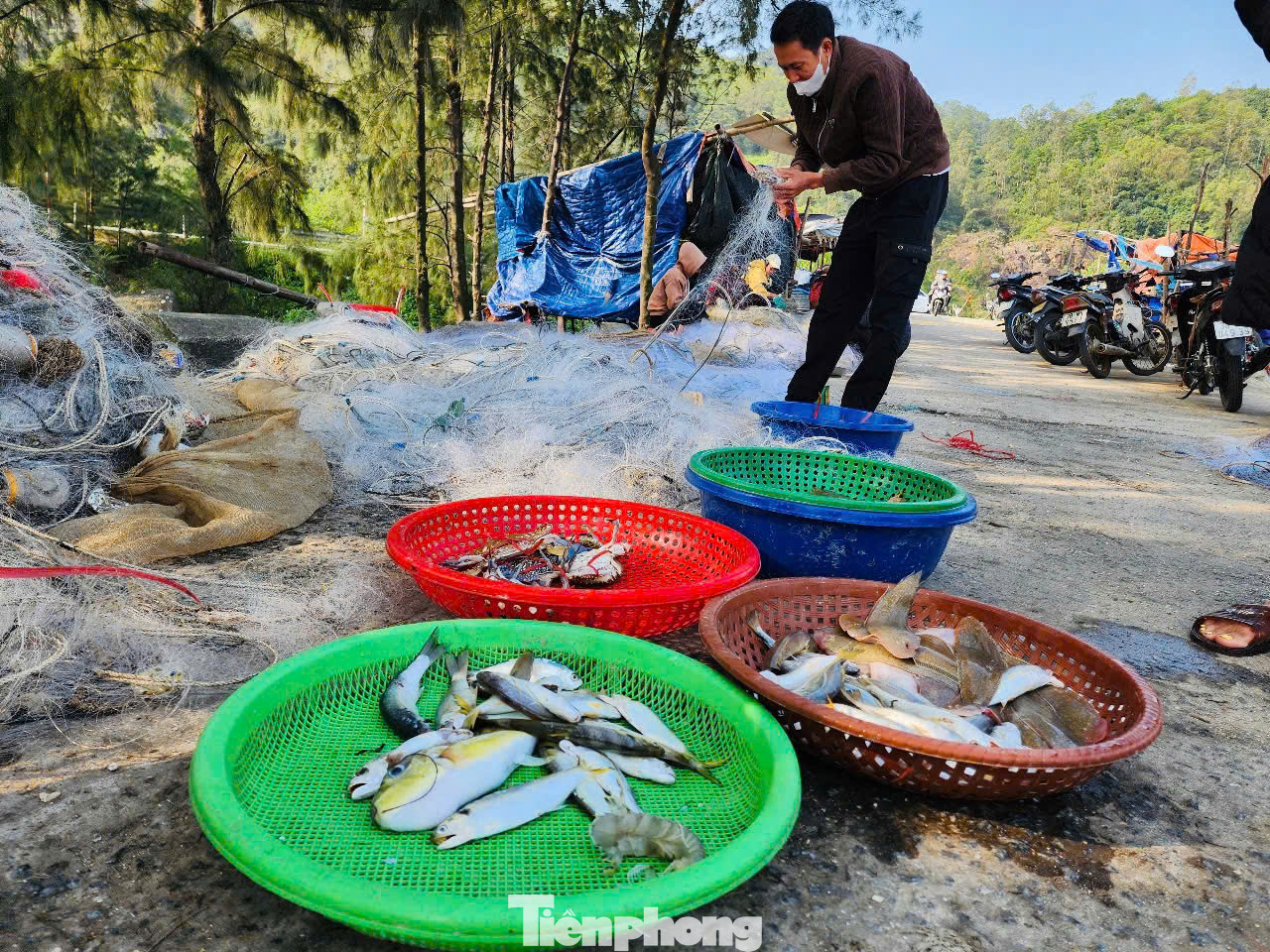 Khi tàu thuyền trở về gần bờ, ngư dân hào hứng thu hoạch cá tôm, mang theo niềm vui thắng lợi sau một buổi ra khơi.