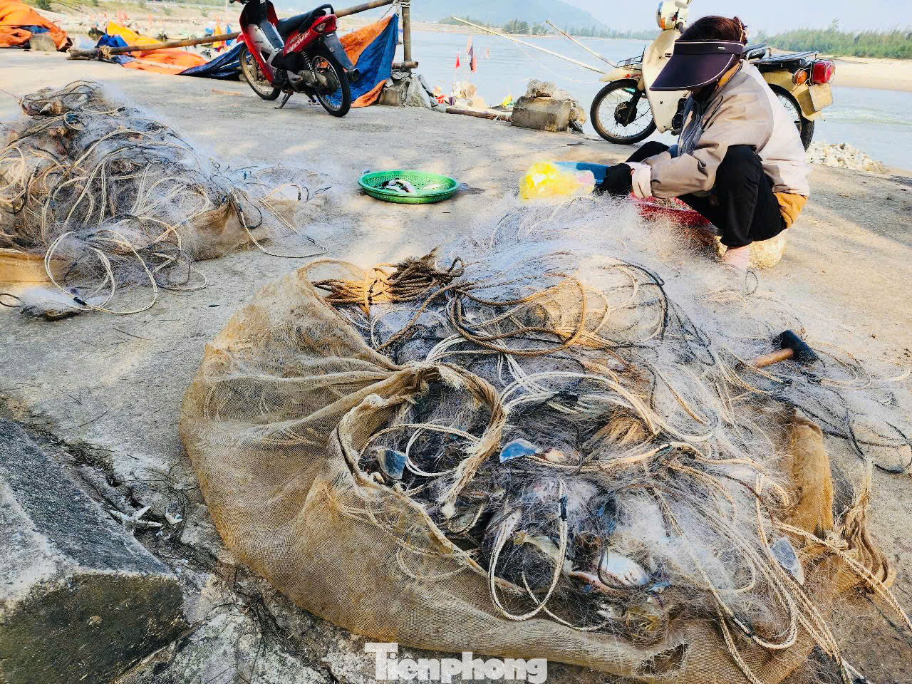 Ngư dân cho biết, những ngày đầu năm mới, thời tiết thuận lợi, nắng ấm nên đánh bắt được nhiều ghẹ tươi. Vì dịp Tết nên giá bán cao, người dân phấn khởi.