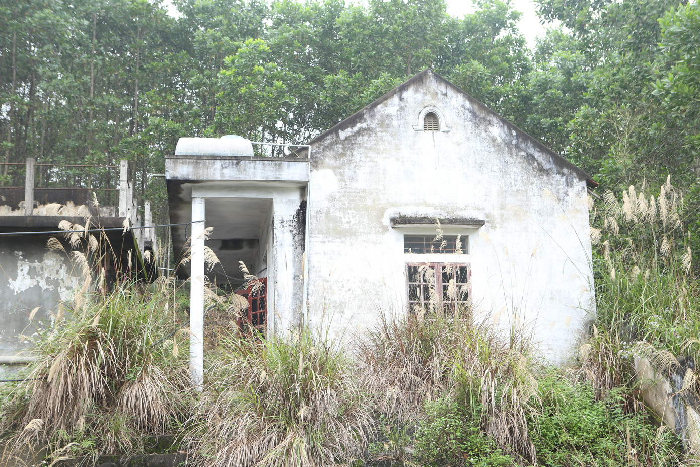 Đó là nghịch lý xảy ra tại xã Đức Lạng, huyện Đức Thọ (Hà Tĩnh), nơi có 1 nhà máy được xây dựng để giải quyết nhu cầu sử dụng nước sạch cho hàng trăm hộ dân ở xã.