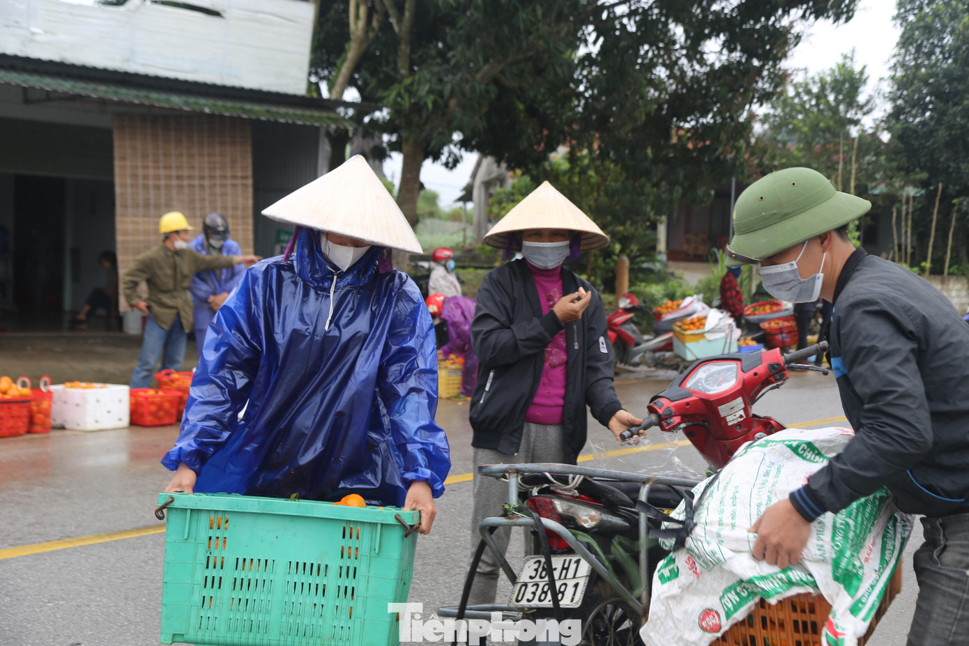Bán hết thùng hàng người dân về tại vườn cắt ra để bán thêm.