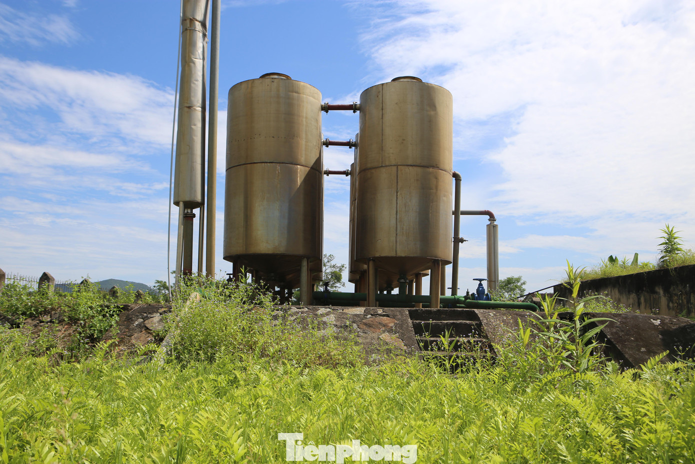 Cỏ mọc um tùm bên trong nhà máy nước ngừng hoạt động.