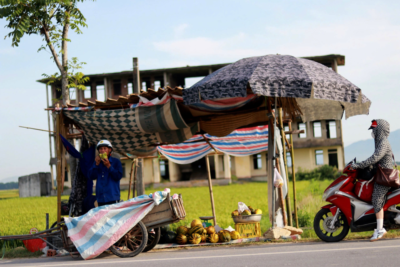Lãnh đạo UBND xã Việt Tiến, huyện Thạch Hà cho biết, những năm gần đây người dân địa phương mở rộng diện tích trồng dưa thay vì trồng lúa như trước đây vì lợi nhuận cao hơn gấp nhiều lần so với trồng lúa. Năng suất trồng dưa đạt từ 10-15 triệu đồng/sào. "Hiện địa phương đang khuyến khích mở rộng diện tích trồng dưa theo hướng quy mô lớn, vừa tăng thu nhập cho người dân, vừa góp phần phát triển kinh tế nông thôn, giảm nghèo bền vững", lãnh đạo xã chia sẻ.