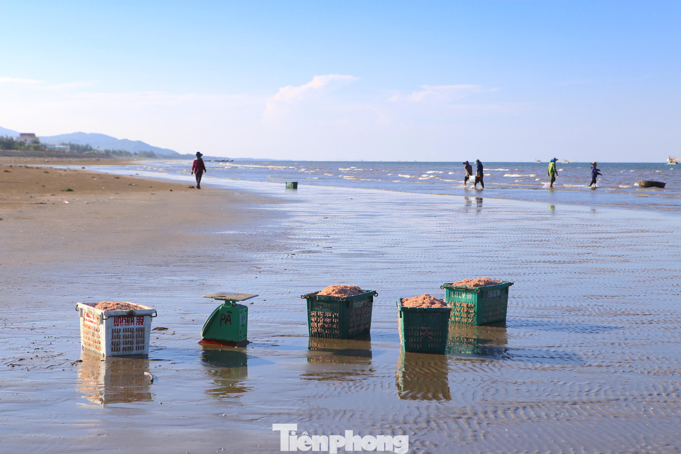 “Những tàu lớn mấy ngày này cập bờ cứ đạt 1,5-2 tấn ruốc. Tính ra trừ đi chi phí có tàu thu về từ 10-15 triệu đồng. Vì đầu mùa trúng đậm ruốc như thế này dân cũng phấn khởi, cứ cập bờ, ăn uống xong lại ra khơi”, chị Phương chia sẻ.