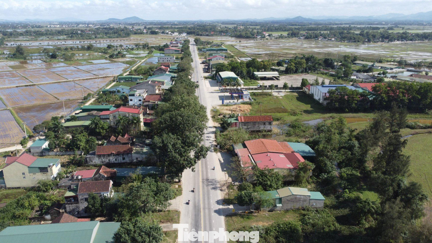 Năm 2012, khi Dự án nâng cấp, mở rộng quốc lộ 8A được triển khai, hơn 50 cây xà cừ cổ thụ nằm trên quốc lộ 8A, đoạn qua xã Bùi La Nhân (huyện Đức Thọ, Hà Tĩnh) thuộc diện phải chặt bỏ. Tuy nhiên việc này vấp phải ý kiến phản đối nên sau đó thiết kế đường được điều chỉnh, hàng cây được bảo vệ đến nay đang phát triển tốt.