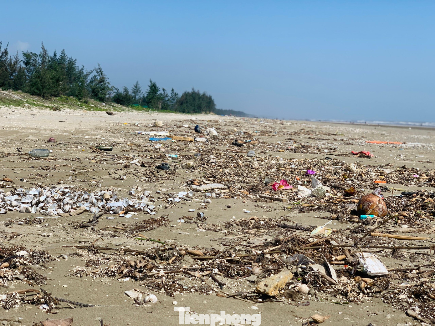 Tình trạng rác thải chưa được thu gom, xử lý dẫn tới ô nhiễm môi trường, nhất là khu vực này gần khu dân cư đang gây mất mỹ quan, ảnh hưởng tới cuộc sống người dân.