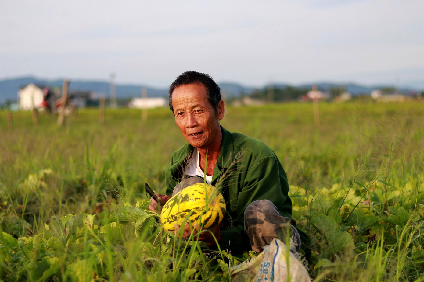“Gia đình tôi trồng hơn 2 sào dưa bở, dưa lê và dưa hấu. Mặc dù thời tiết đầu vụ có chút bất lợi, nhưng nhờ chăm sóc kỹ lưỡng, cây vẫn phát triển tốt. Mới đầu vụ thôi, tôi đã thu được khoảng 8 tạ dưa lê, từ 1 đến 1,2 tấn dưa bở và dưa hấu. Sau khi trừ chi phí, mỗi sào dưa mang về hơn 13 triệu đồng", ông Lâm Văn Tăng (trú xã Việt Tiến) chia sẻ.