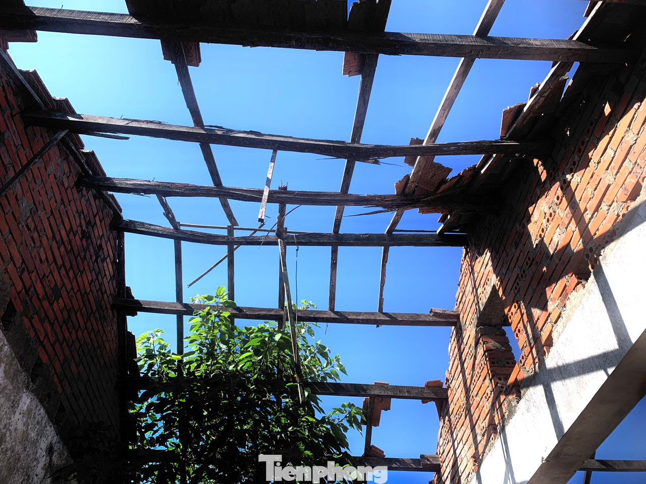 Trong đó nhà văn hóa được xây dựng rộng khoảng 100 m2 bị hư hỏng do không sử dụng. Mái nhà bị đổ gãy, xung quanh khuôn viên cỏ dại mọc um tùm.