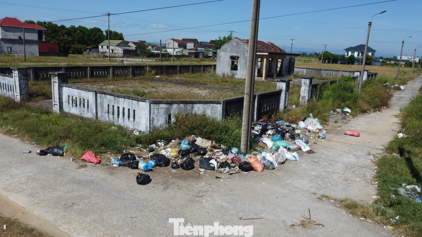 Khu tái định cư bỏ hoang, thành nơi chăn thả trâu bò của người dân địa phương. Đáng nói, rác cũng tập kết tại khu vực này, để lại khung cảnh nhếch nhác, ô nhiễm môi trường.