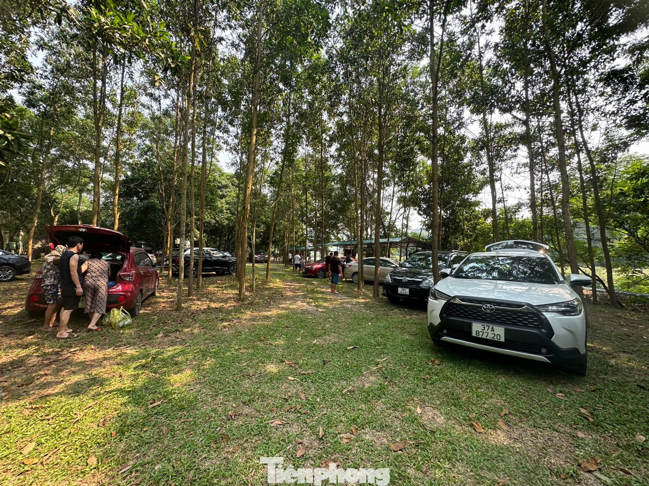 Có nhiều gia đình, nhóm người mang cả đồ ăn, nước uống vào rừng nấu ăn, nghỉ ngơi trong núi đến khi mặt trời lặn mới trở về nhà.