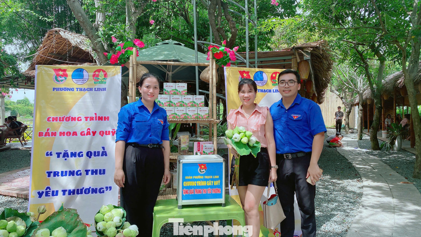 Những bó sen này được các bạn đoàn viên thanh niên trồng chăm sóc và thu hoạch bán cho người dân nhằm gây quỹ. Chỉ trong buổi sáng đã thu về hơn 5 triệu đồng. Những bó sen này được các bạn đoàn viên thanh niên trồng chăm sóc và thu hoạch bán cho người dân nhằm gây quỹ. Chỉ trong buổi sáng đã thu về hơn 5 triệu đồng.