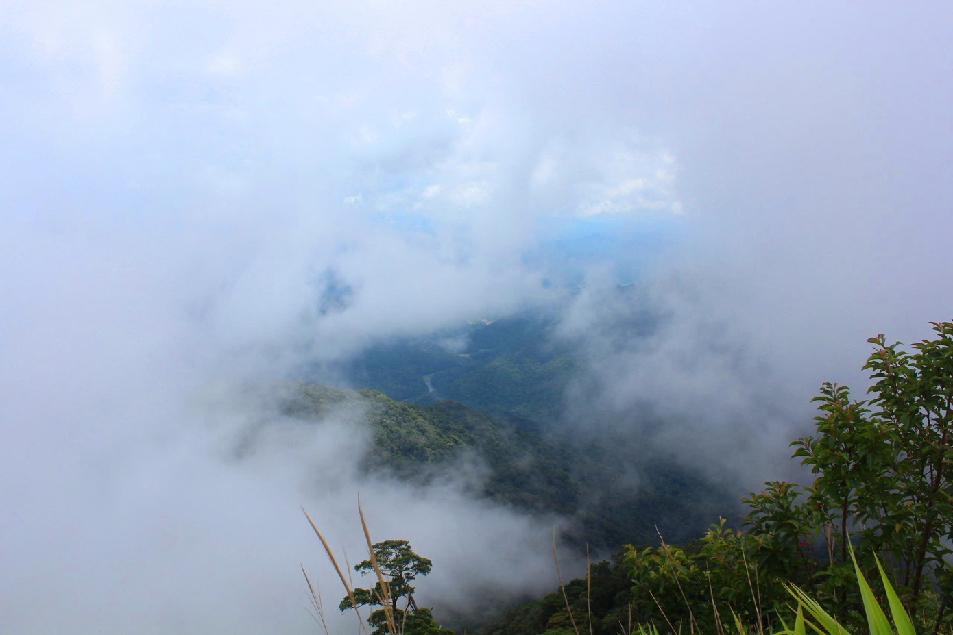 Nơi đây có các hệ sinh thái động vật, thực vật vô cùng đa dạng, phong phú, với những khu rừng nguyên sinh hoang sơ, kỳ vĩ.