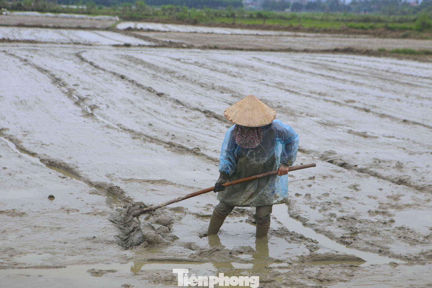 Một số người trùm áo mưa trùm để tránh cái lạnh tê tái.... Một số người trùm áo mưa trùm để tránh cái lạnh tê tái....