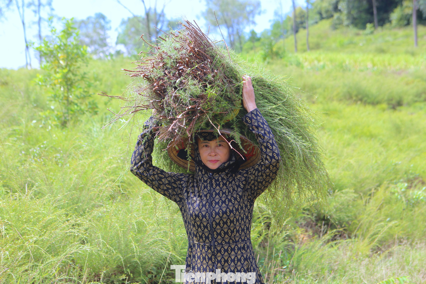 Người dân sau khi thu hoạch xong bó thành từng bó rồi mang xuống nhà để phơi.